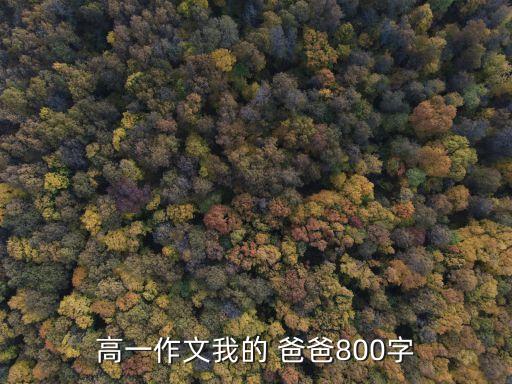 高一作文我的 爸爸800字