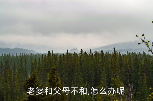 老婆和父母不和,怎么辦呢