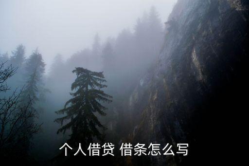 2022個人借款借條范文,先借款后補借條的起訴狀范文