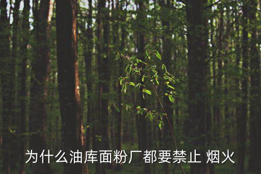 為什么油庫(kù)面粉廠都要禁止 煙火