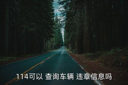 114可以 查詢(xún)車(chē)輛 違章信息嗎