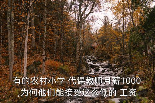 有的農(nóng)村小學(xué) 代課教師月薪1000,為何他們能接受這么低的 工資