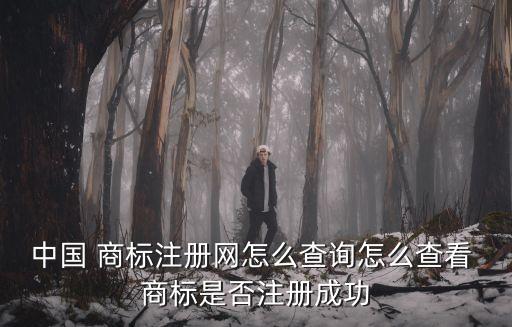 中國 商標注冊網(wǎng)怎么查詢怎么查看 商標是否注冊成功