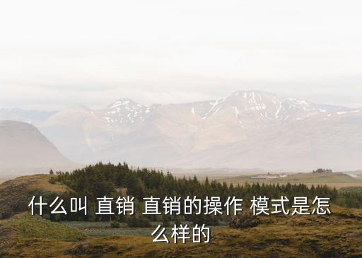 直銷模式