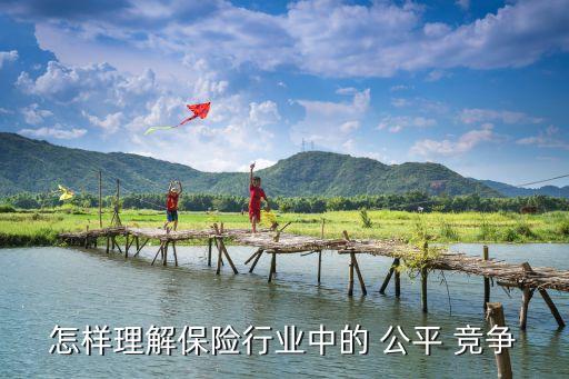 怎樣理解保險(xiǎn)行業(yè)中的 公平 競(jìng)爭(zhēng)