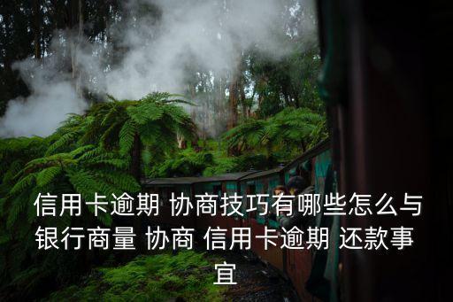 信用卡協(xié)商還款怎么談,網(wǎng)貸逾期了怎么協(xié)商延期還款