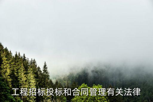 合同法相關(guān)的法律法規(guī)有,法律法規(guī)193條合同法203條
