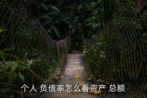 負債總額是指什么,資產(chǎn)負債率過高