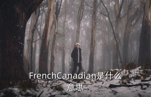 法律文本翻譯例句