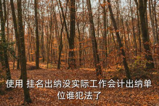 使用 掛名出納沒實際工作會計出納單位誰犯法了