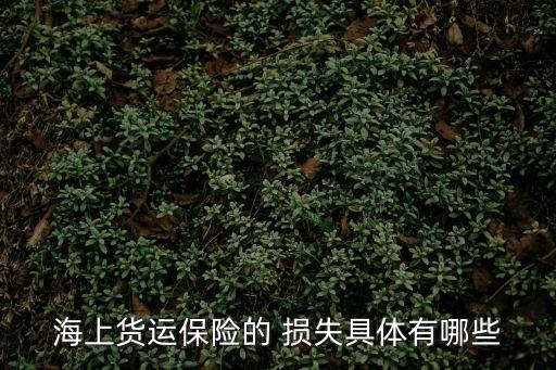 海上貨運(yùn)保險(xiǎn)的 損失具體有哪些