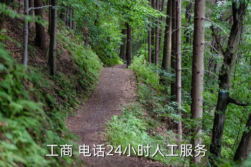 工商咨詢熱線電話,12345在線咨詢
