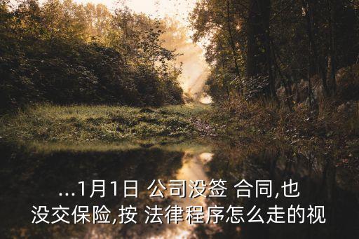 ...1月1日 公司沒簽 合同,也沒交保險(xiǎn),按 法律程序怎么走的視