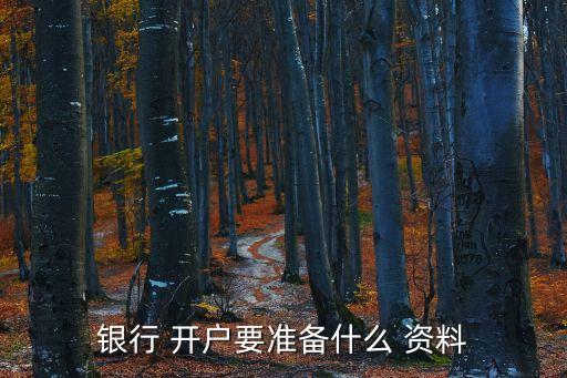 開戶需要什么資料,公司開戶需要帶什么材料