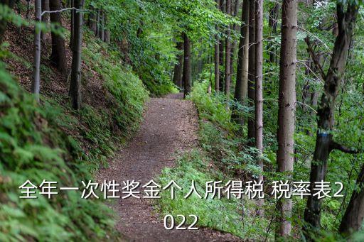 全年一次性獎(jiǎng)金個(gè)人所得稅 稅率表2022