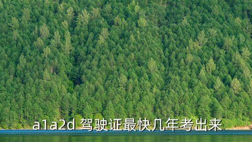 a1a2d駕駛證