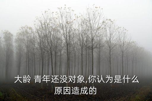 大齡青年