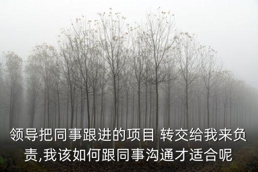 領(lǐng)導(dǎo)把同事跟進(jìn)的項(xiàng)目 轉(zhuǎn)交給我來負(fù)責(zé),我該如何跟同事溝通才適合呢
