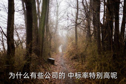 為什么有些公司的 中標(biāo)率特別高呢