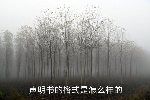 聲明怎么寫,開戶許可證遺失登報聲明怎么寫