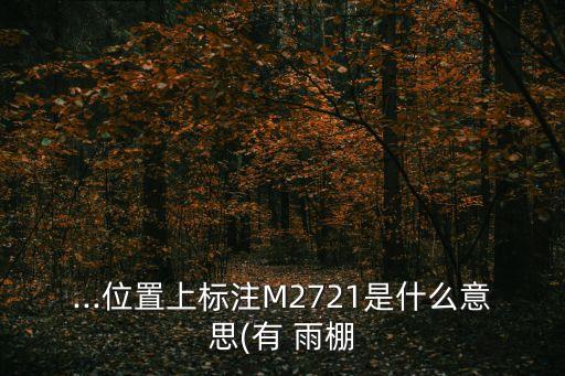 ...位置上標注M2721是什么意思(有 雨棚