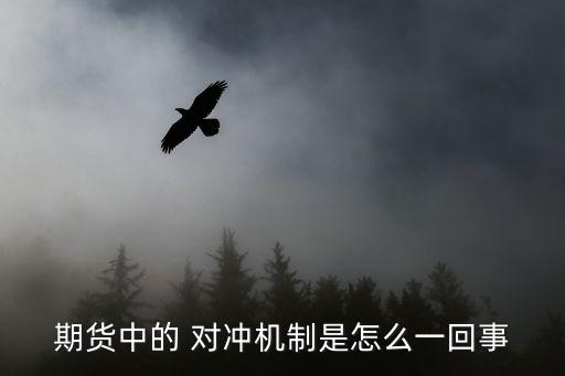 風險對沖
