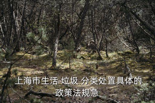 上海垃圾分類