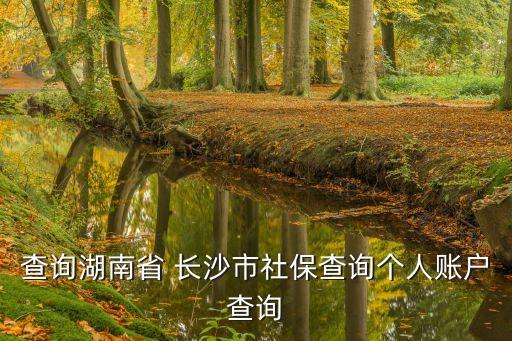 查詢湖南省 長沙市社保查詢個人賬戶查詢