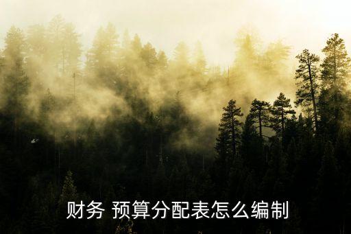 財務預算表怎么做,財務報表自動生成軟件