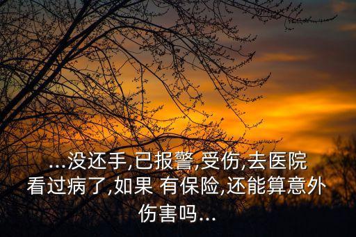 ...沒(méi)還手,已報(bào)警,受傷,去醫(yī)院看過(guò)病了,如果 有保險(xiǎn),還能算意外傷害嗎...