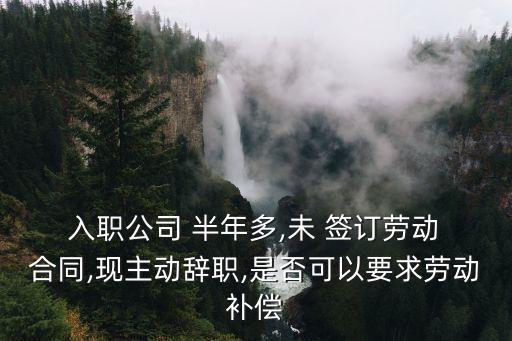  入職公司 半年多,未 簽訂勞動(dòng) 合同,現(xiàn)主動(dòng)辭職,是否可以要求勞動(dòng)補(bǔ)償
