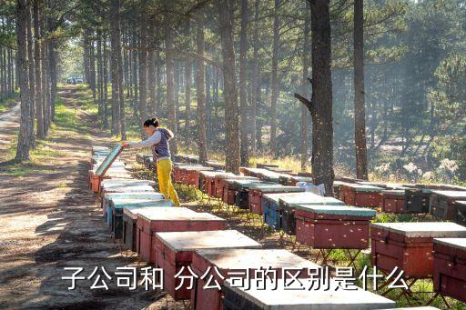 分公司和子公司,開分公司需要具備什么條件