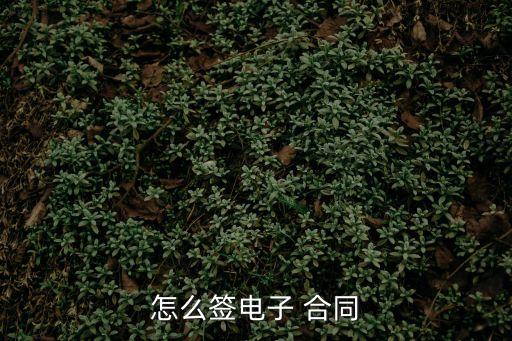 怎么簽電子 合同