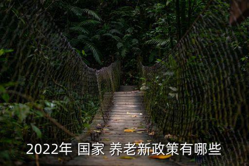 2022年 國家 養(yǎng)老新政策有哪些