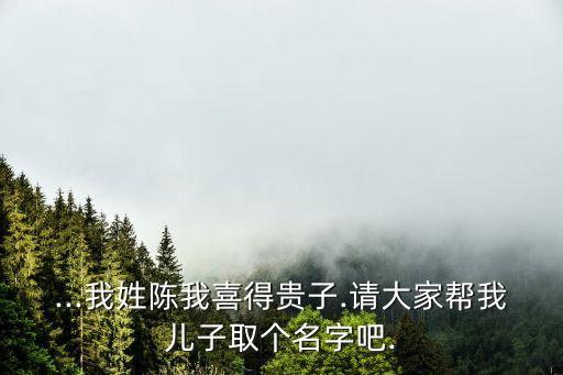 ...我姓陳我喜得貴子.請(qǐng)大家?guī)臀覂鹤尤€(gè)名字吧.
