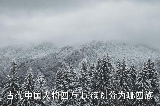 四大民族是哪四個(gè),工廠四大民族是哪四個(gè)
