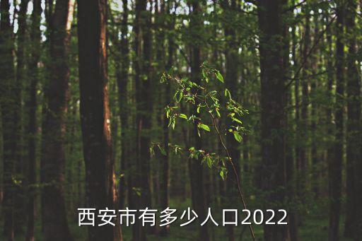 西安市有多少人口2022