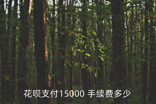 花唄手續(xù)費(fèi)多少,10000花唄手續(xù)費(fèi)多少