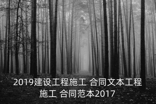 2019建設(shè)工程施工 合同文本工程施工 合同范本2017