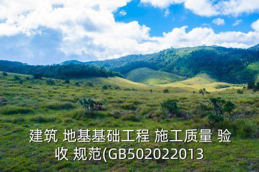  建筑 地基基礎(chǔ)工程 施工質(zhì)量 驗(yàn)收 規(guī)范(GB502022013