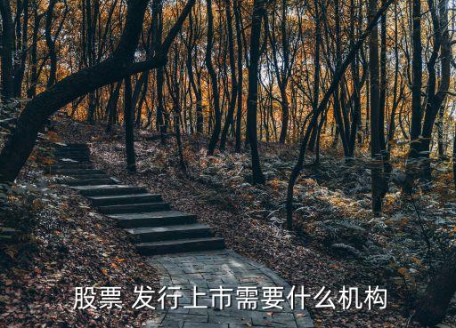  股票 發(fā)行上市需要什么機構(gòu)
