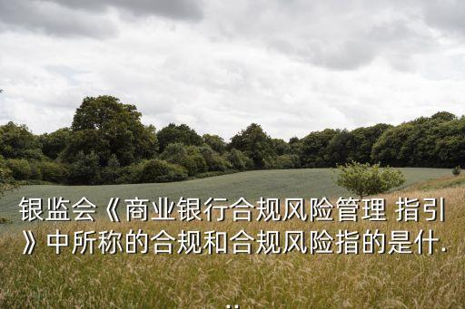 銀監(jiān)會《商業(yè)銀行合規(guī)風險管理 指引》中所稱的合規(guī)和合規(guī)風險指的是什...