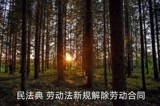 民法典中關(guān)于勞動法的內(nèi)容
