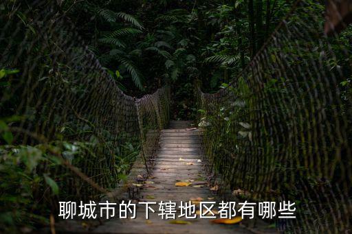  聊城市的下轄地區(qū)都有哪些