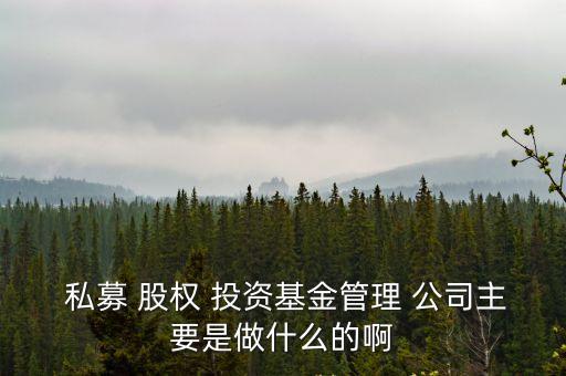 私募股權(quán)投資公司,天瑞豐年私募股權(quán)投資公司