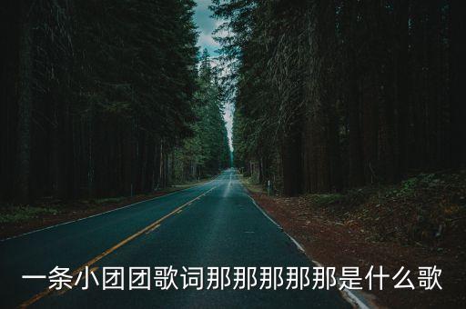 一條小團(tuán)團(tuán)歌詞那那那那那是什么歌