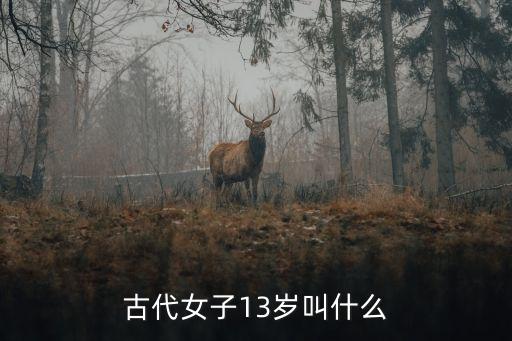 十三歲女孩