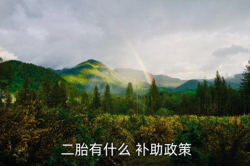 生二胎國(guó)家補(bǔ)助20000元,生三胎國(guó)家補(bǔ)助20000元是真的嗎