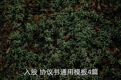  入股 協(xié)議書通用模板4篇