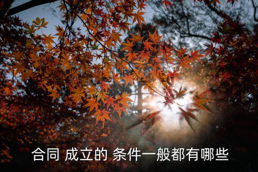  合同 成立的 條件一般都有哪些